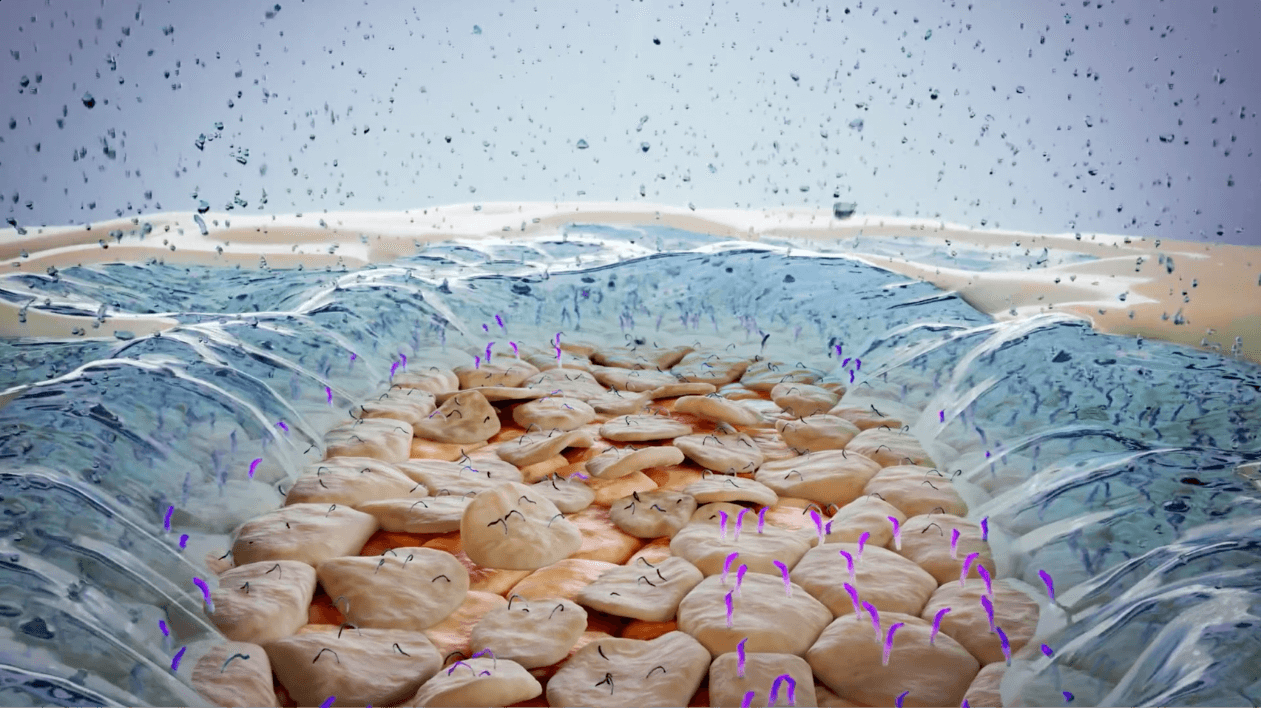 Surface Evaporation image